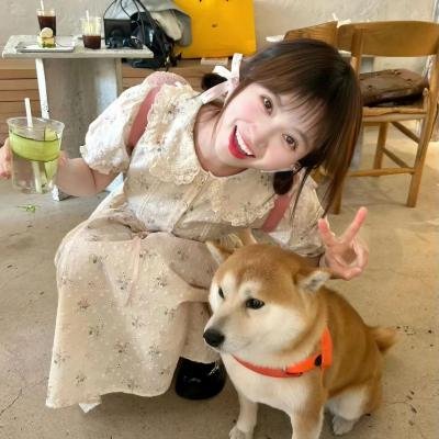 四朵花之家